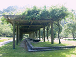 _9200639.jpg