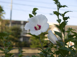 _9220749.jpg
