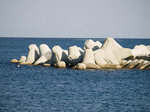 _A211120.jpg